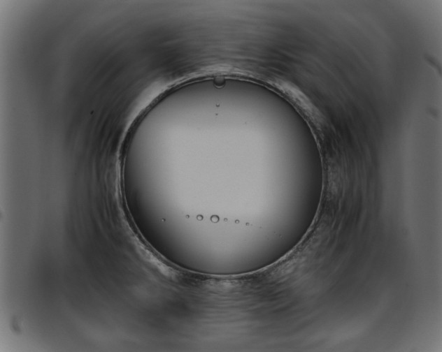X0000096731286200802121305