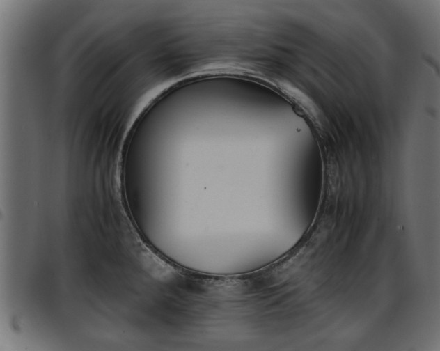 X0000096731288200802121305