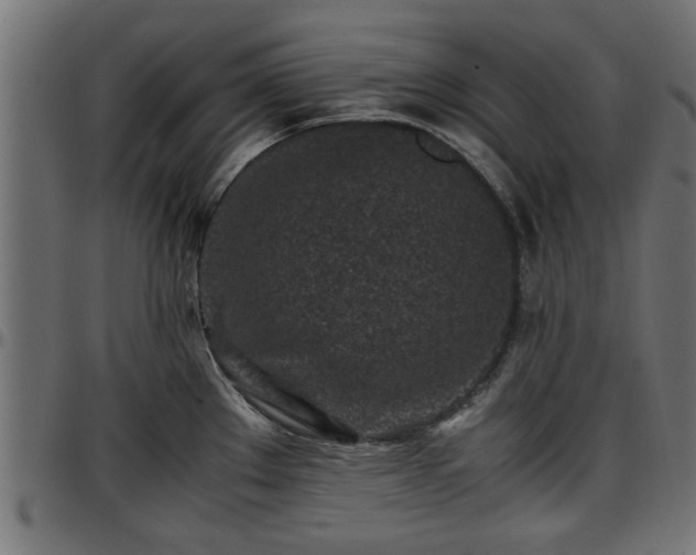 X0000096731289200802121305