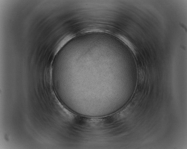X0000096731290200802121305