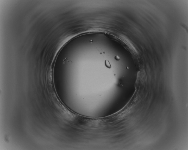 X0000096731292200802121305