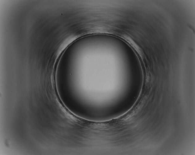 X0000096731293200802121305