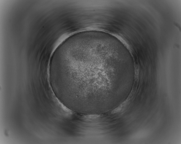 X0000096731294200802121305