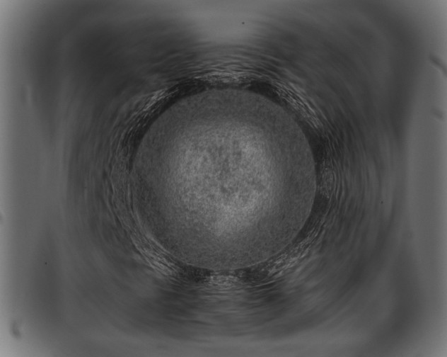 X0000096731297200802121304