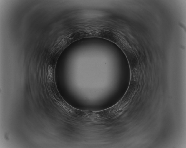 X0000096731298200802121304
