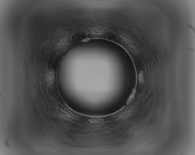 X0000096731299200802121304