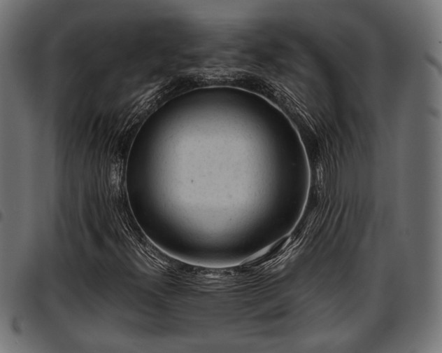 X0000096731300200802121304