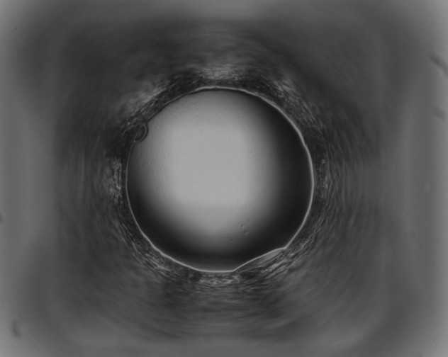 X0000096731301200802121304