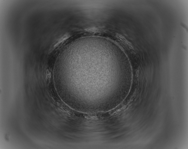 X0000096731302200802121305