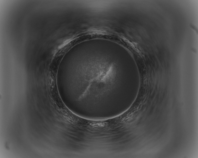 X0000096731303200802121305