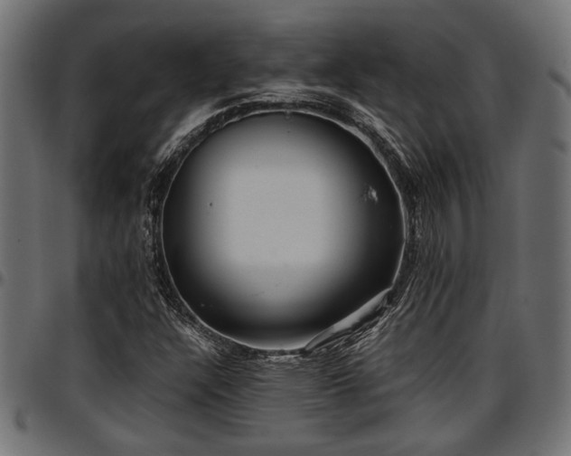 X0000096731304200802121305