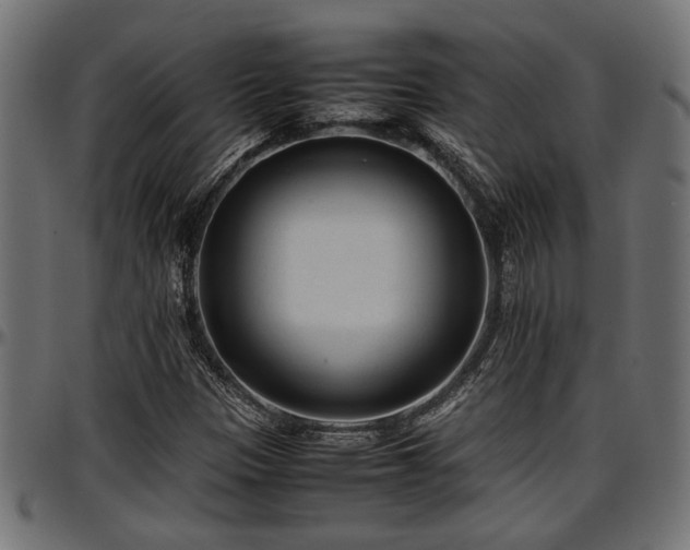 X0000096731305200802121305