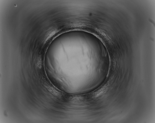 X0000096731306200802121305