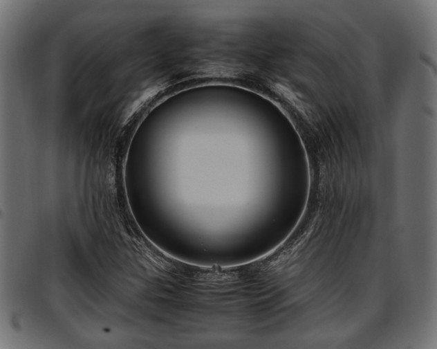 X0000096731307200802121305