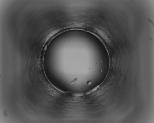 X0000096731308200802121305