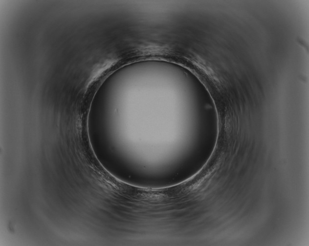 X0000096731309200802121305