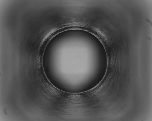 X0000096731310200802121305