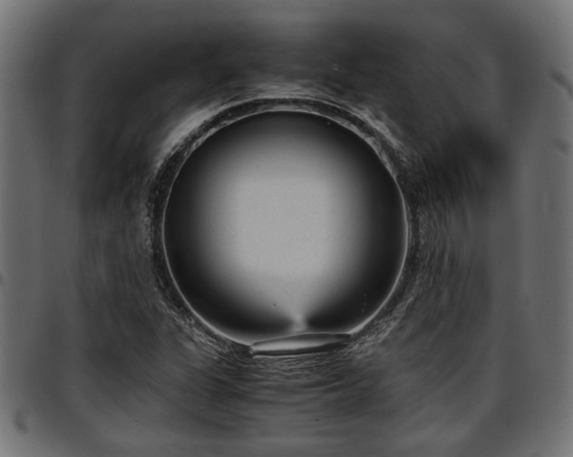 X0000096731311200802121305