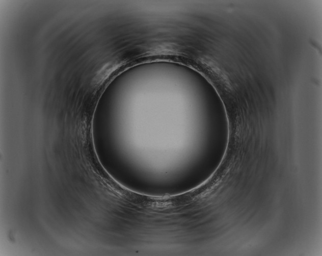 X0000096731313200802121305