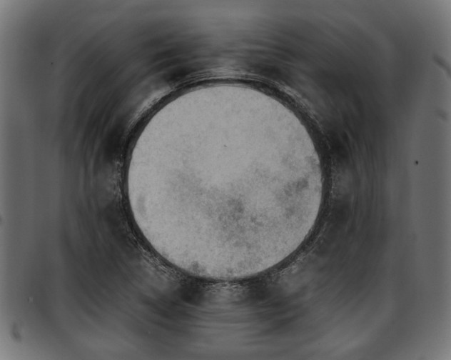 X0000096731314200802121305