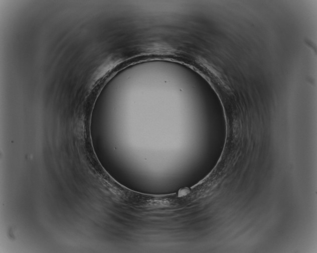 X0000096731315200802121305