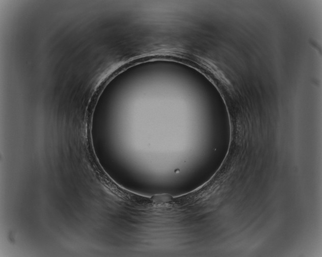 X0000096731316200802121305