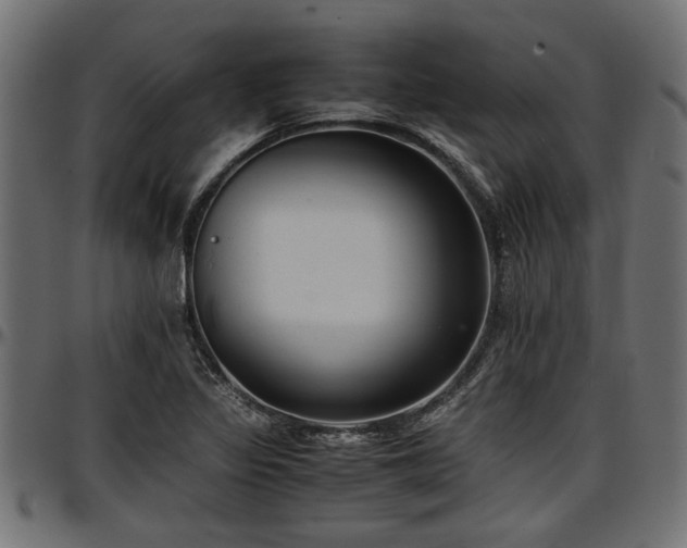 X0000096731317200802121305