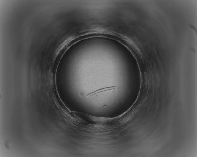 X0000096731318200802121305