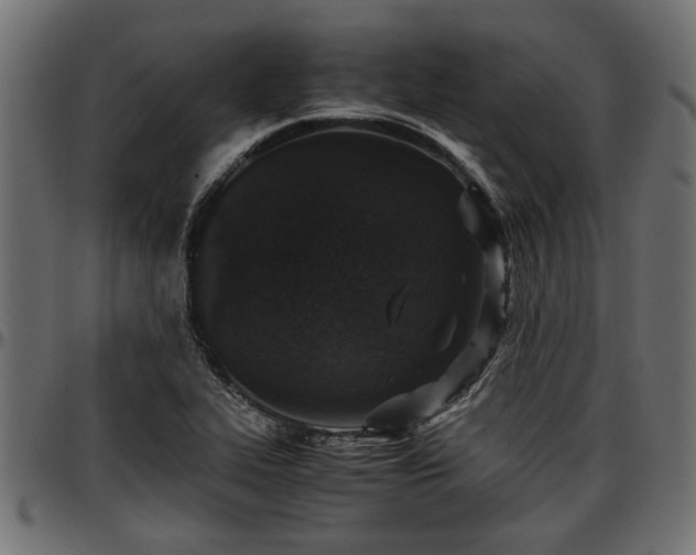 X0000096731319200802121305