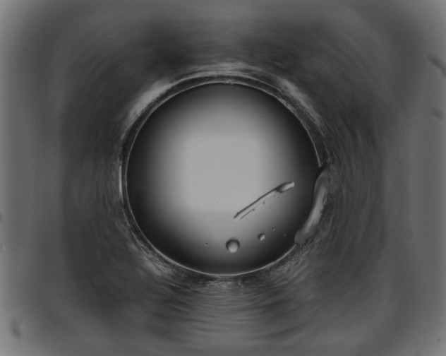 X0000096731320200802121305