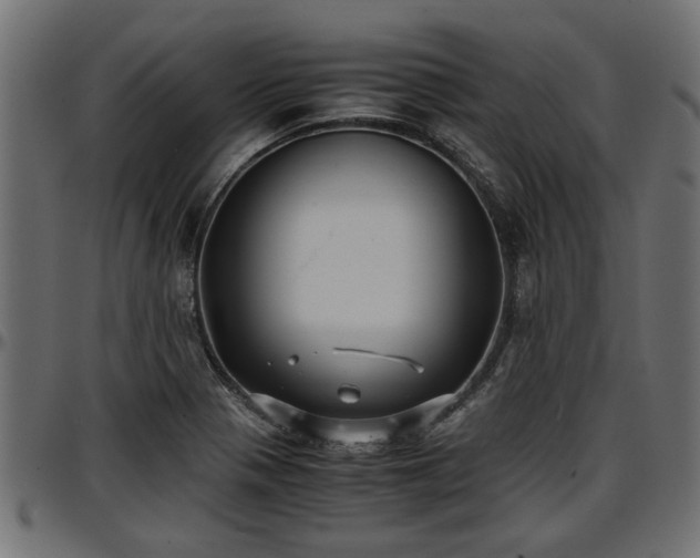 X0000096731321200802121305