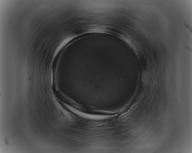 X0000096731323200802121305