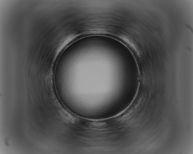 X0000096731325200802121305