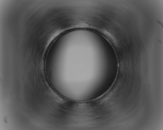 X0000096731326200802121305