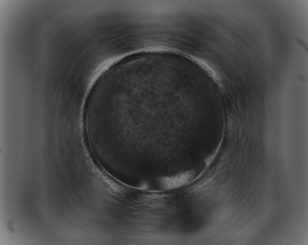 X0000096731327200802121305