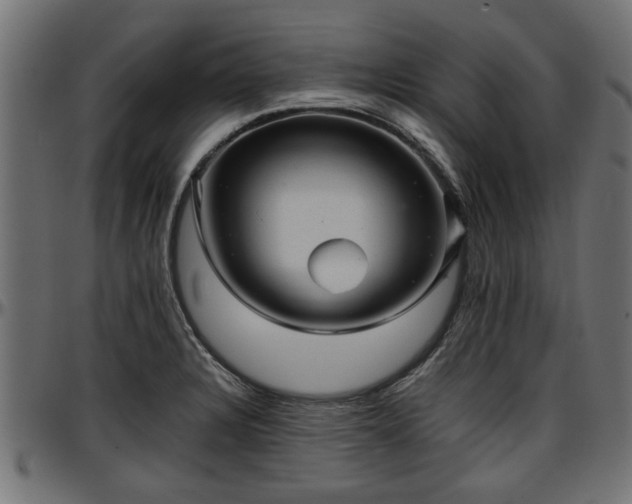 X0000096731328200802121305