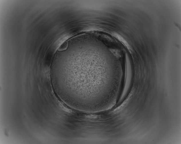 X0000096731329200802121305