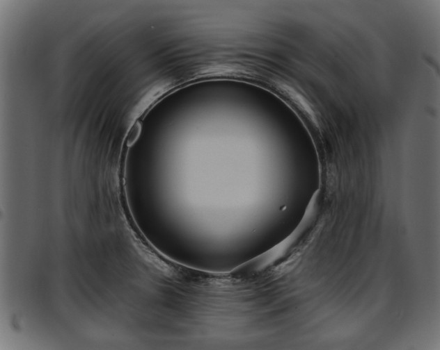 X0000096731330200802121305