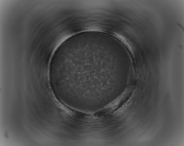 X0000096731331200802121305