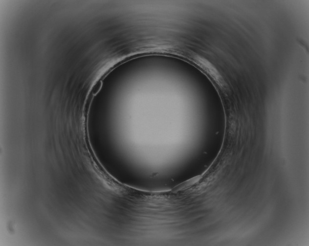 X0000096731332200802121305