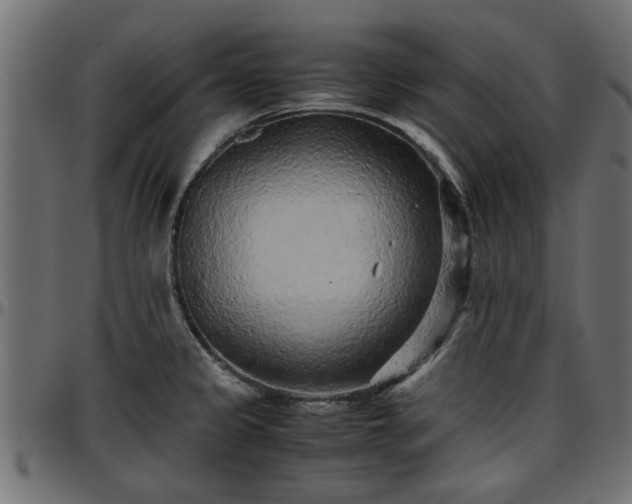 X0000096731333200802121305