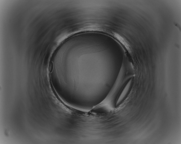 X0000096731334200802121305