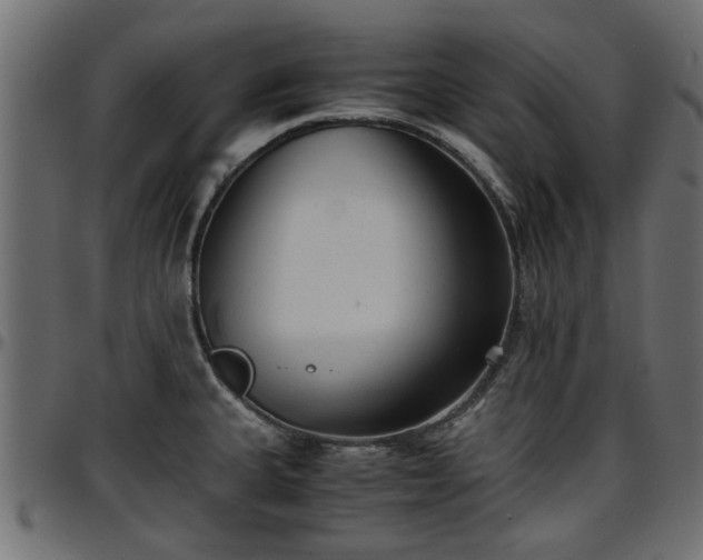 X0000096731335200802121305