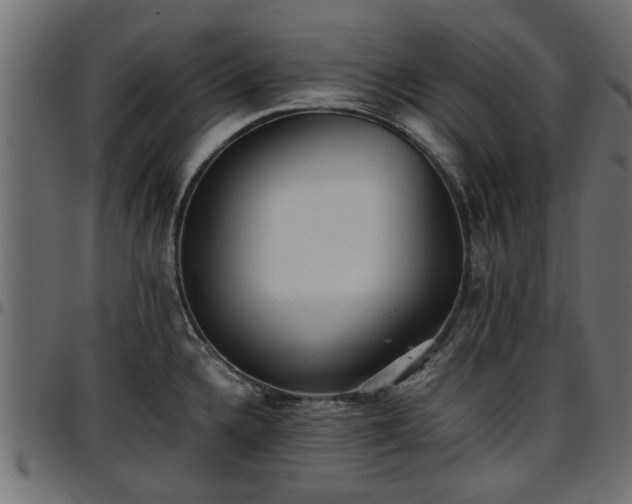 X0000096731336200802121305