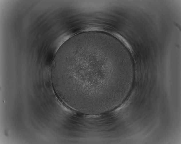X0000096731337200802121305