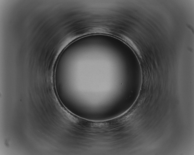 X0000096731339200802121305
