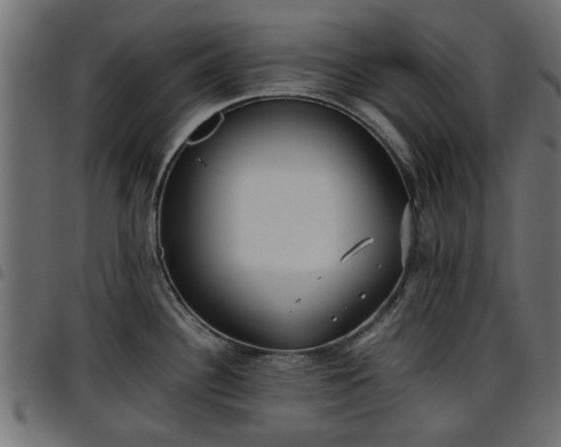 X0000096731340200802121305