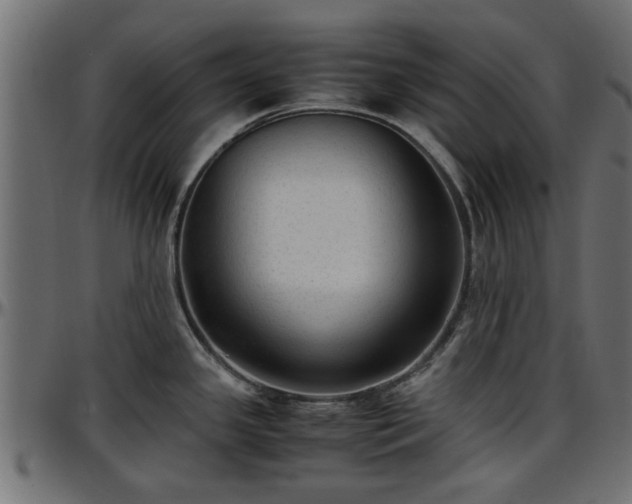 X0000096731341200802121305