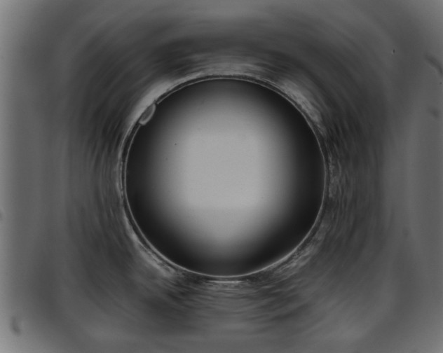 X0000096731342200802121305
