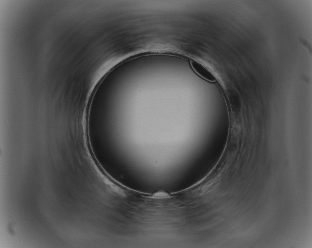 X0000096731343200802121305